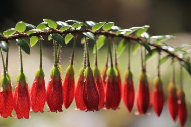 东莞大岭山私人快速借钱网，轻松解决资金难题