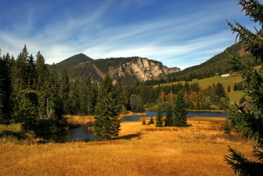 东莞大岭山民间私贷攻略：揭秘低成本借贷的秘密